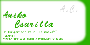 aniko csurilla business card